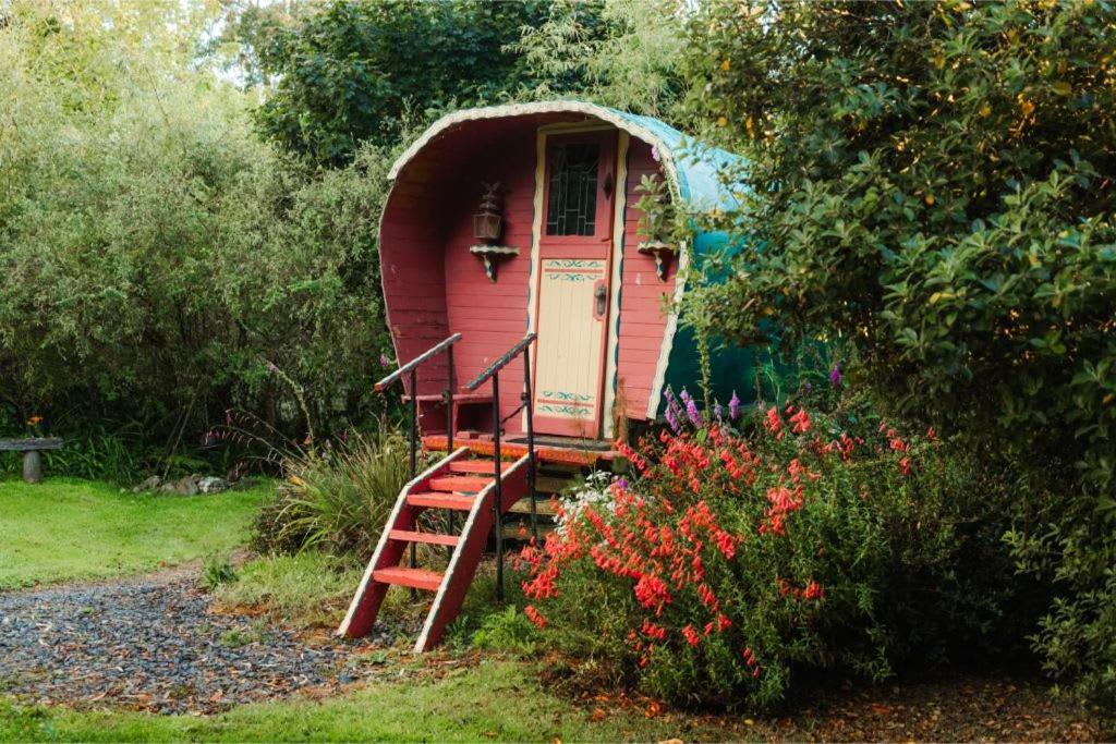 Pekapeka Tiny House By Tiny Away Villa Owaka Exterior photo